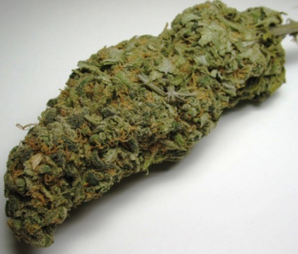 Grapist