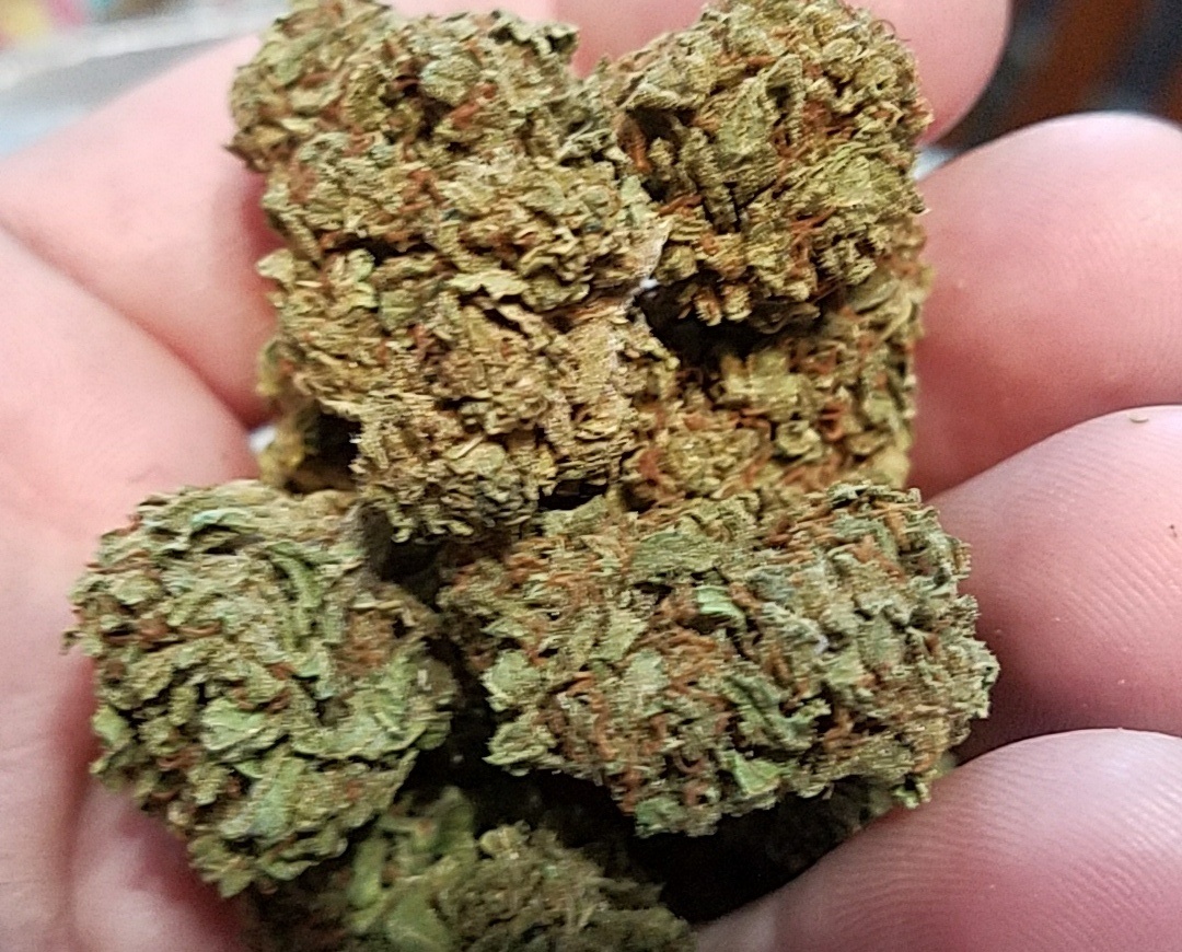 Grease OG