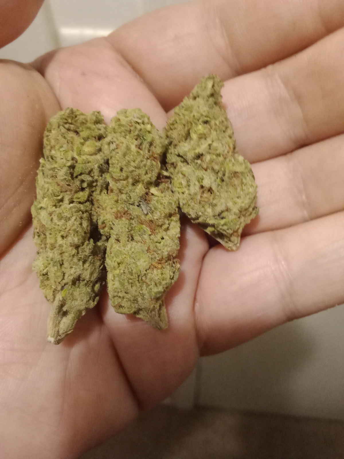 Green Monster