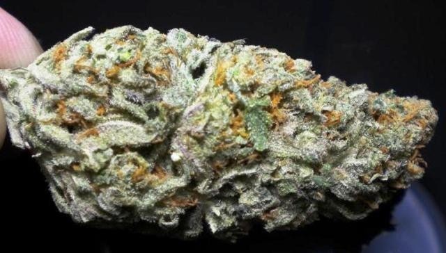 Green Skunk