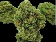 Greenhouse OG
