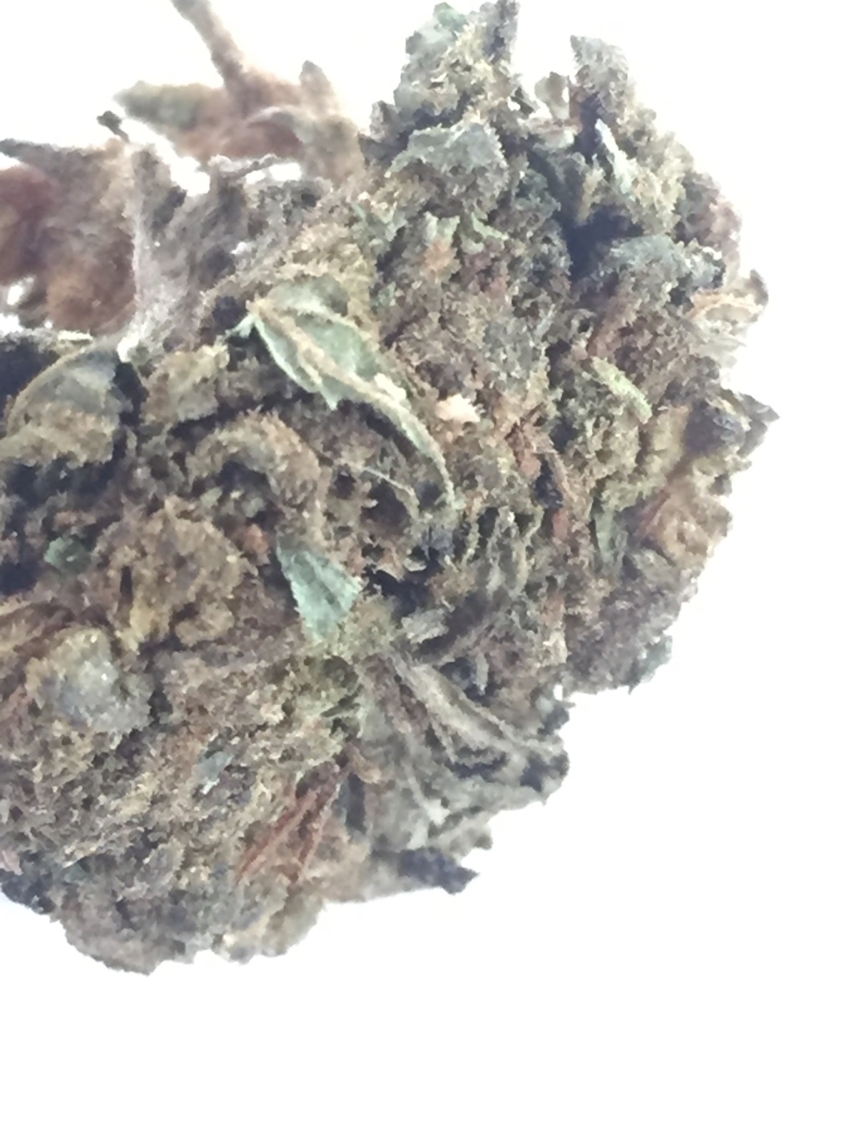 Greenleaf Platinum Cookies