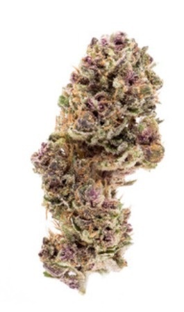 GRiZ Kush