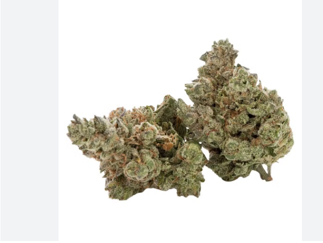 Groovy OG
