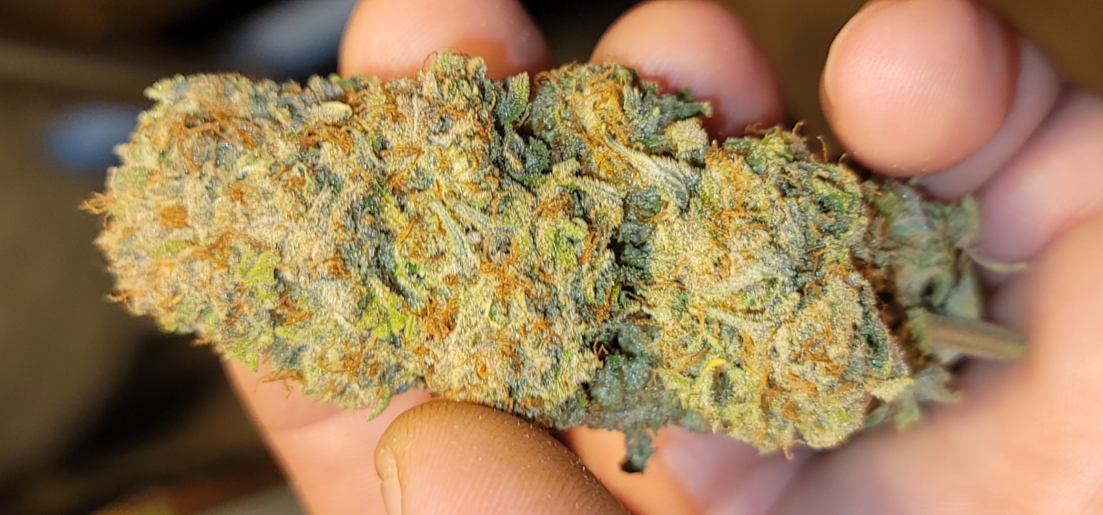 GSC Extreme