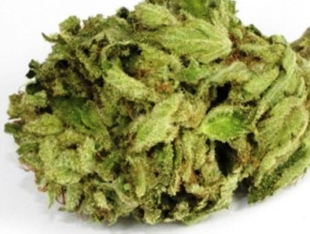 GSC x Bubba Kush