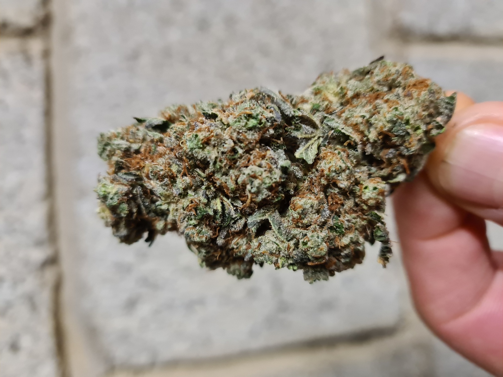 Guava Dawg