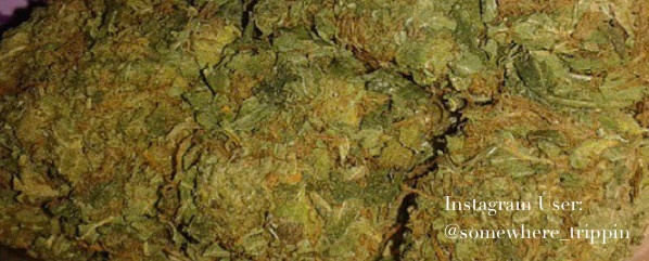 Guava Kush