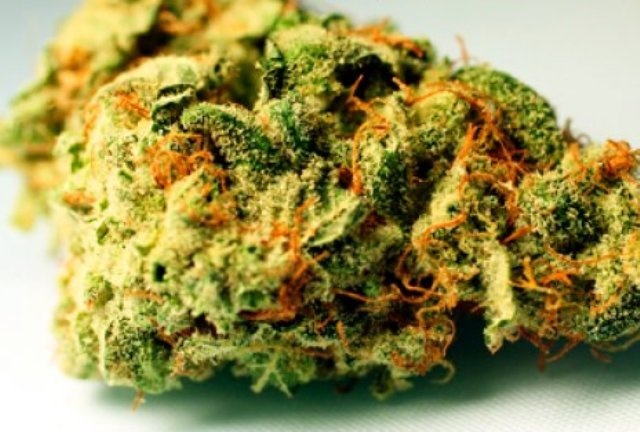 Gupta Kush