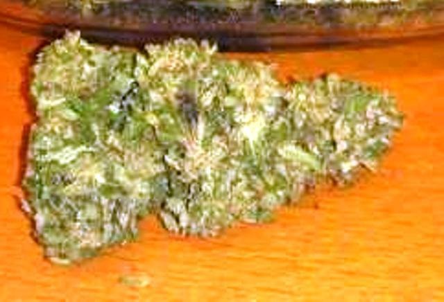 Happy Kush