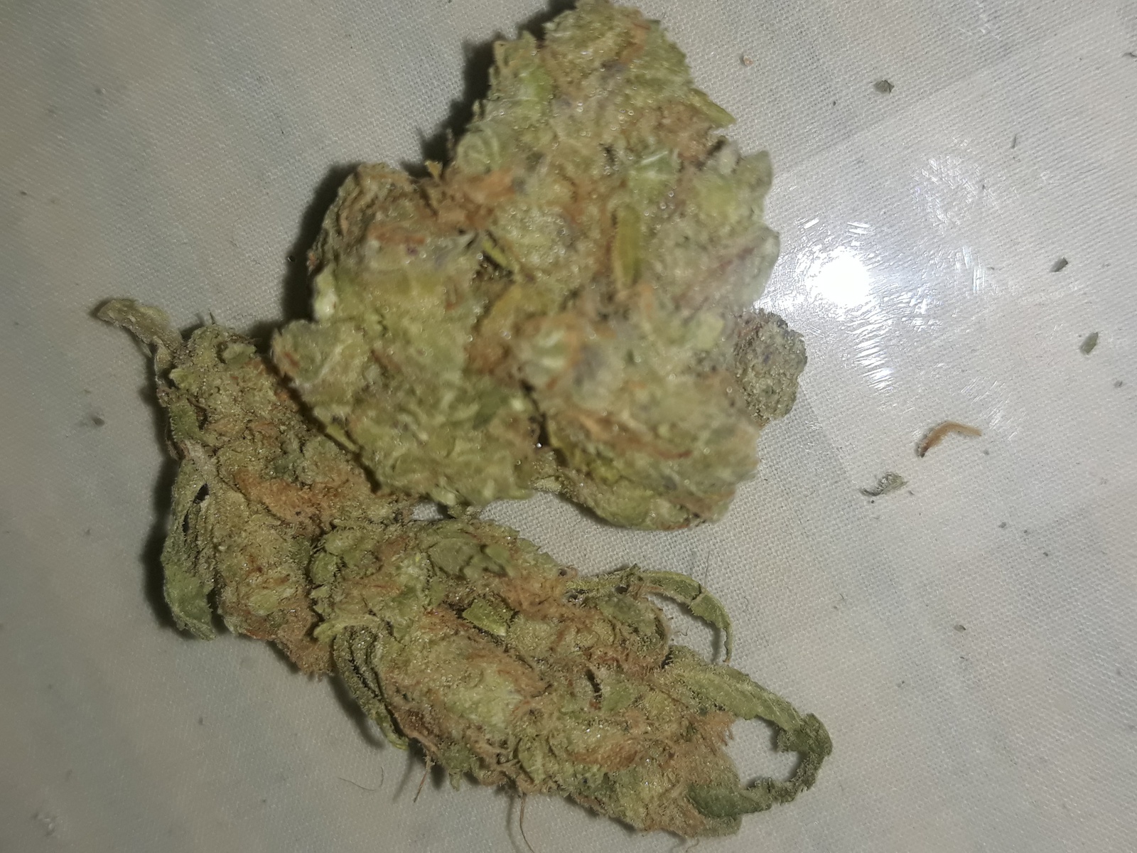 Hashplant Haze