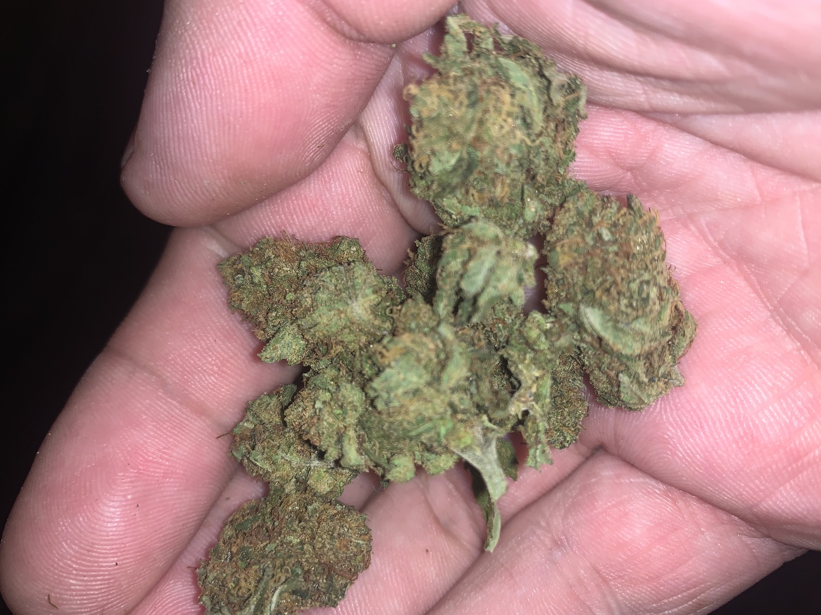 Hawaiian Diesel