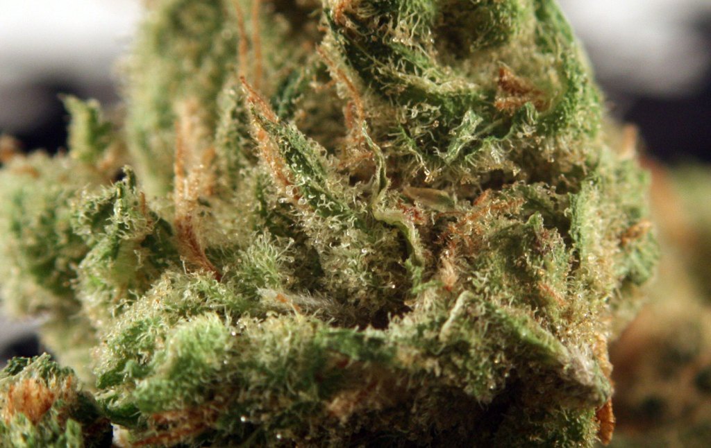 Hawaiian Golden Pineapple
