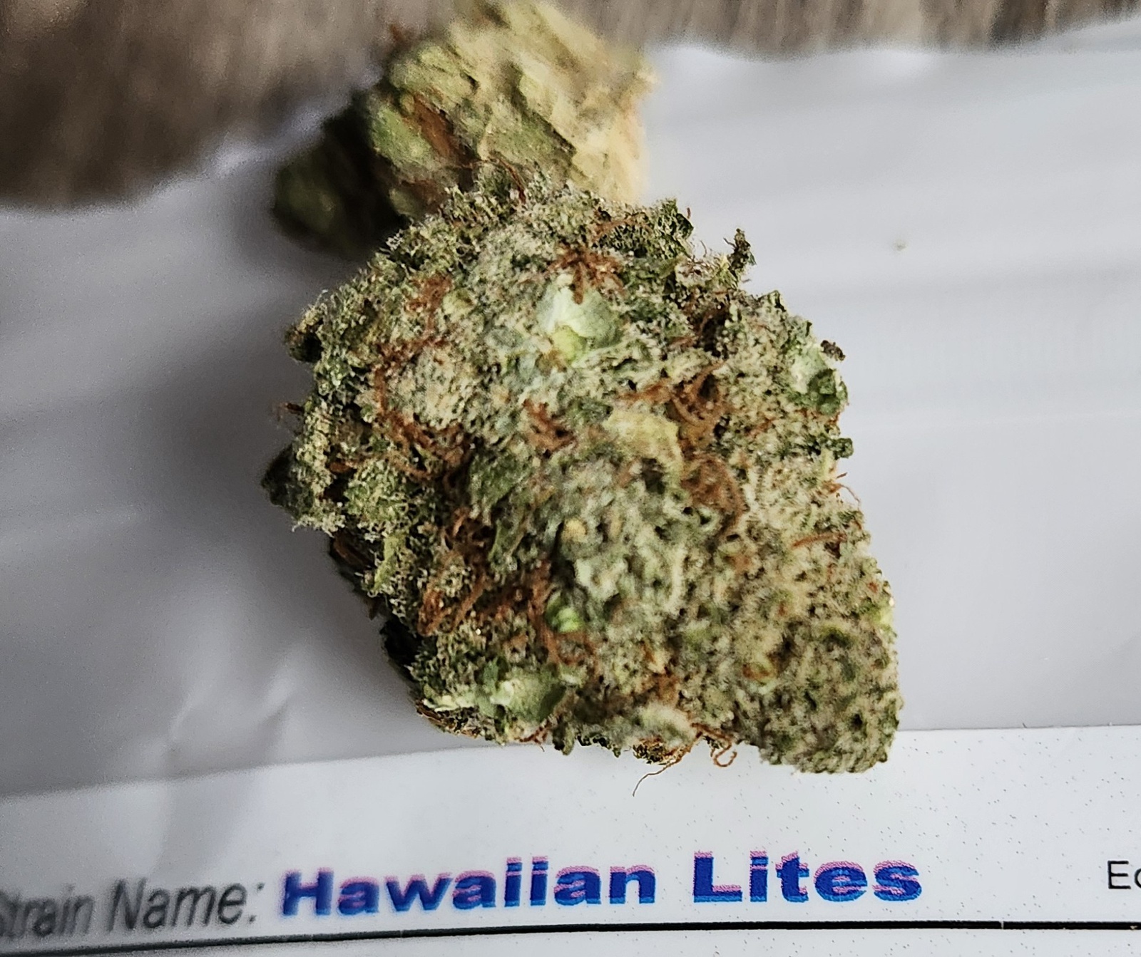 Hawaiian Lights