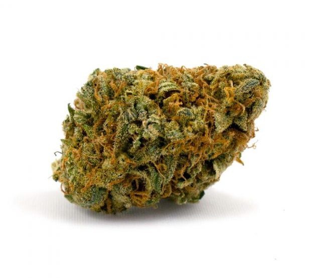 Hawaiian Romulan