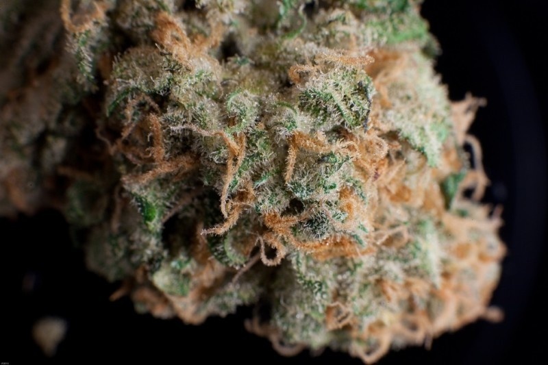Headcheese OG
