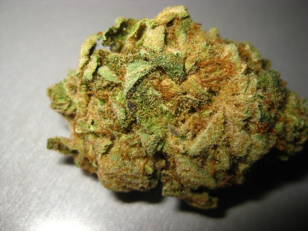Hempstar