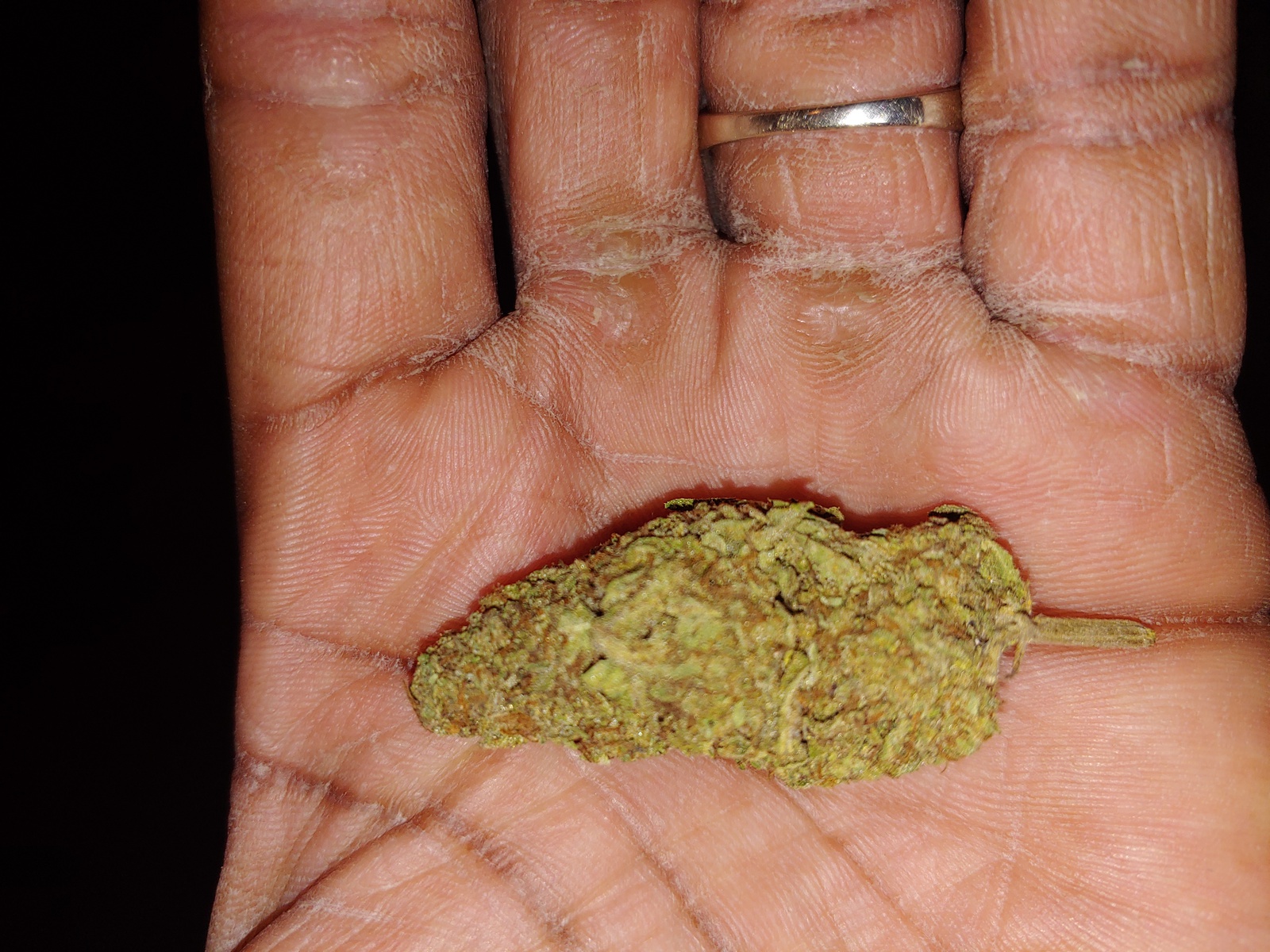 High Mids