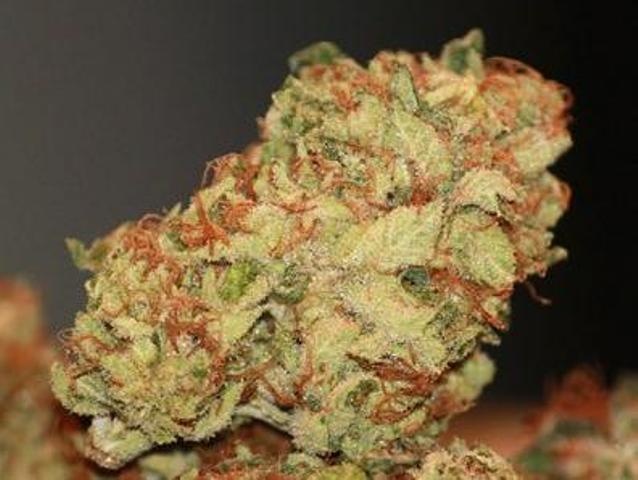 Hindu