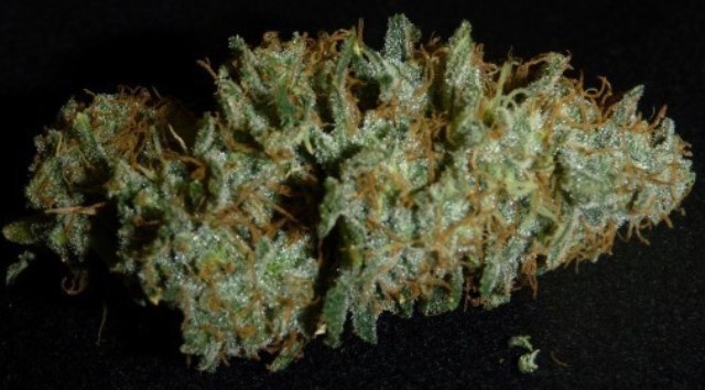 HOG Organic
