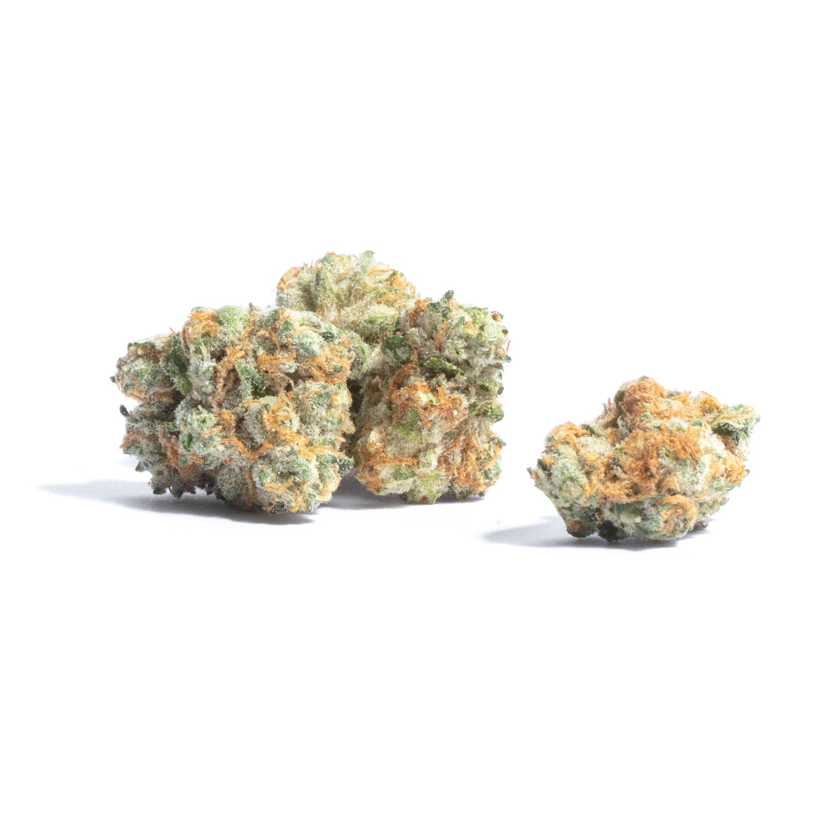 Hollywood OG