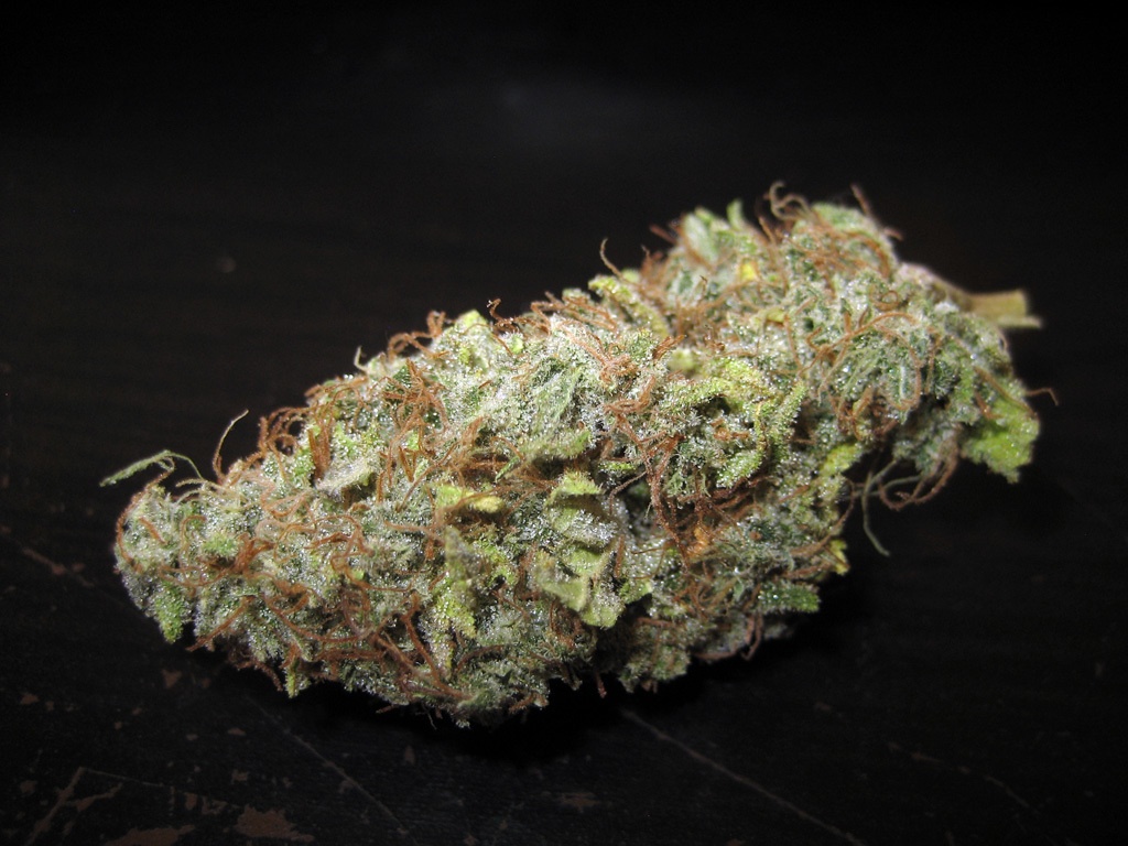 Holy Ghost