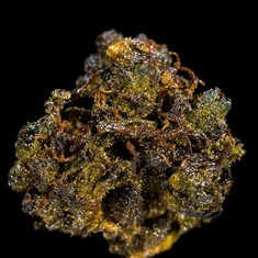 Honey Bud