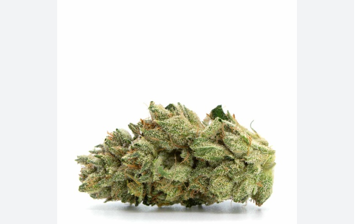 Humboldt OG