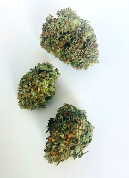 Iceberg