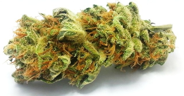 Incredible lemon Haze