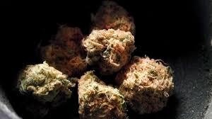 Jamaican Dream