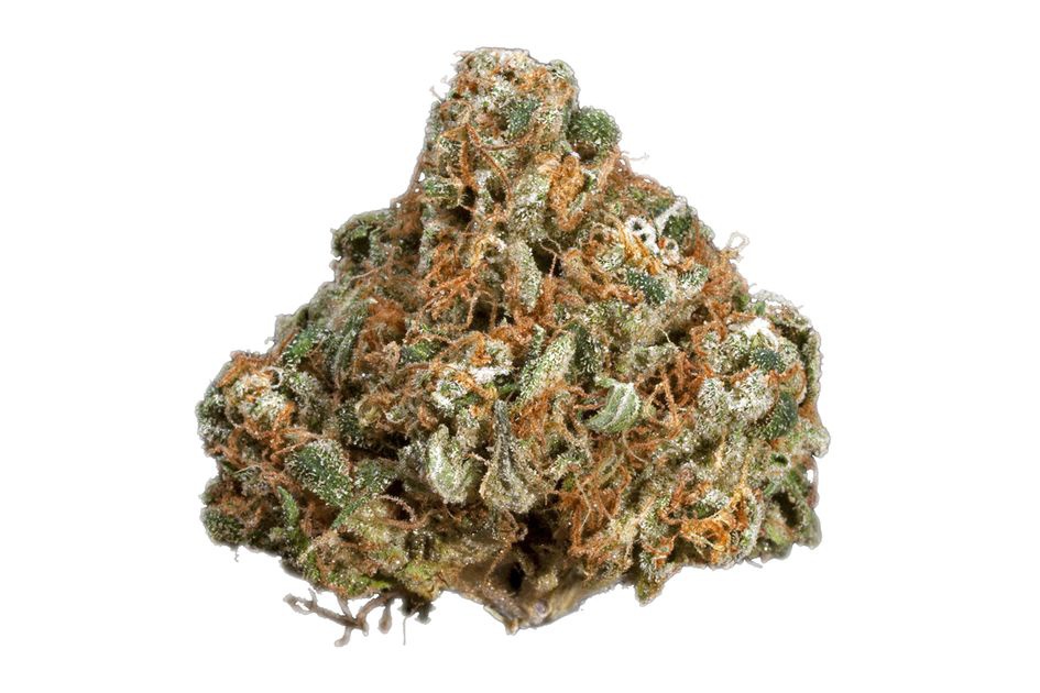 Jetsetter OG