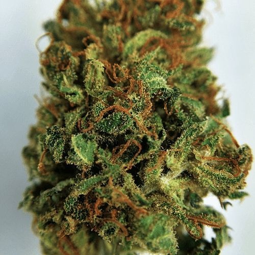 Juanita