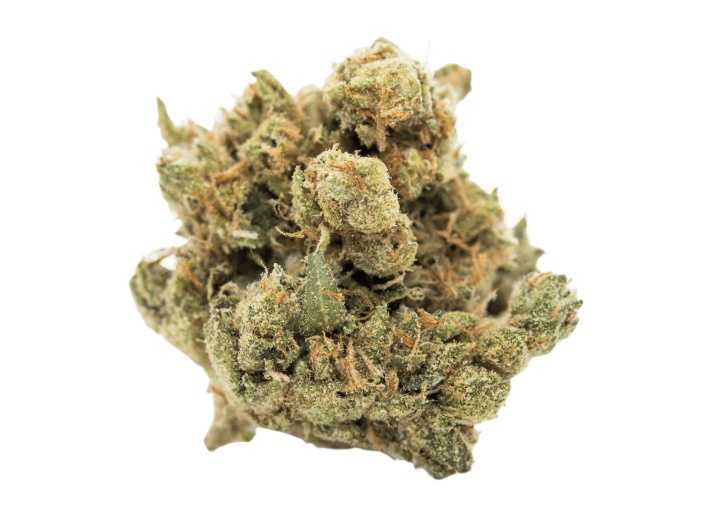 Juniper Berry