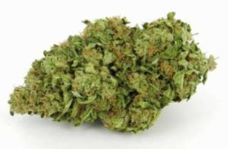 Kali OG