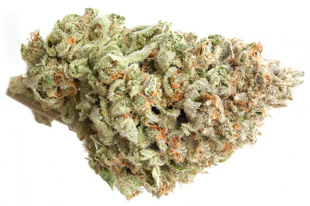Kandy Glue