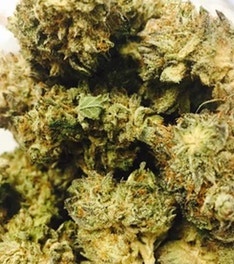 Kashmir Black No. 3