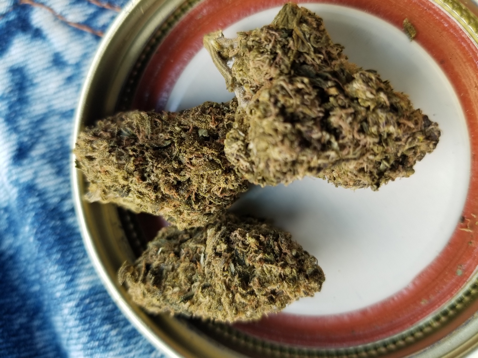 Kashmir Kush