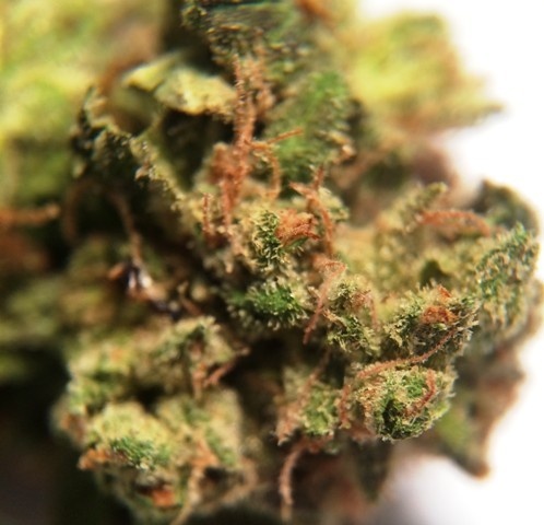 Kato Cookies