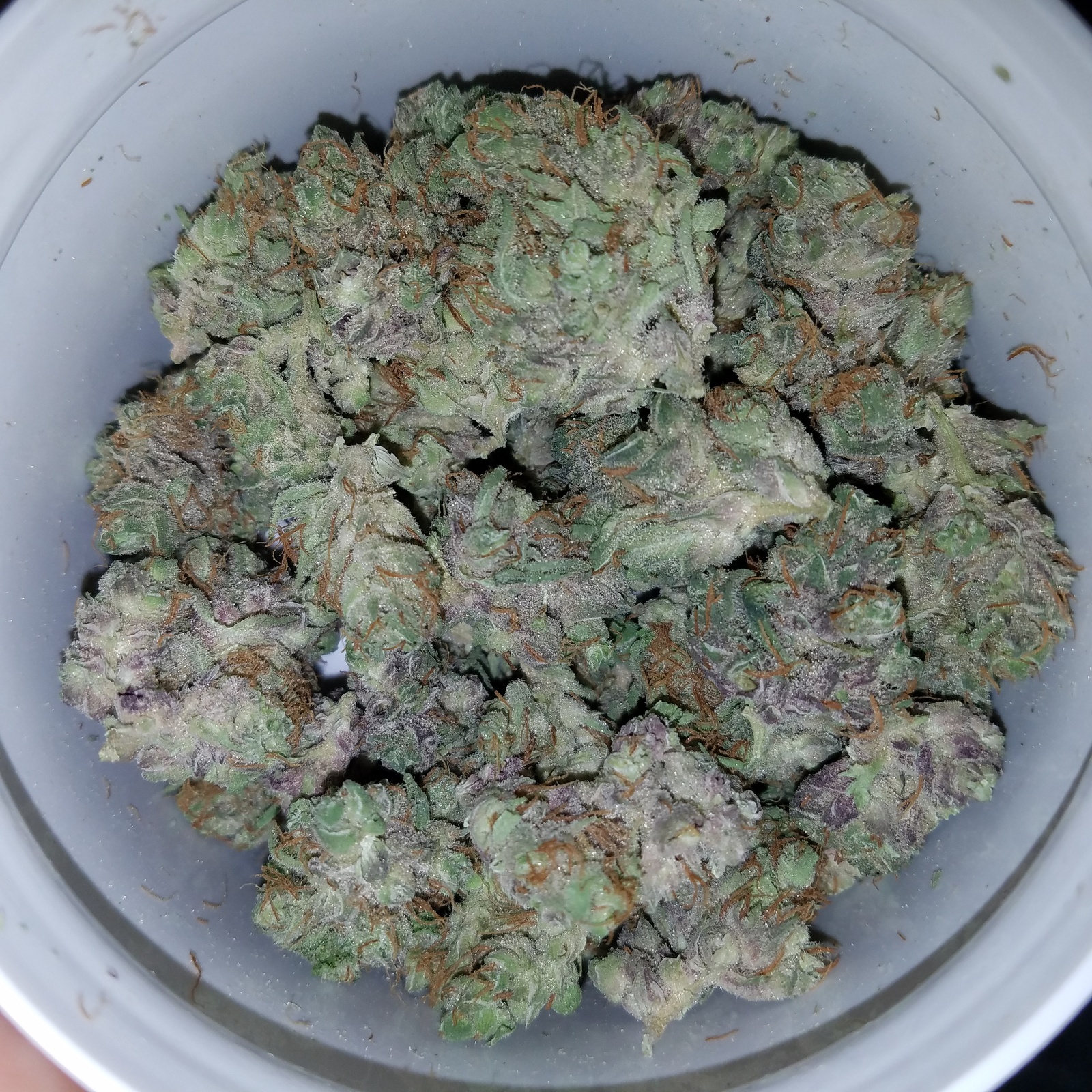 Katsu Bubba Kush