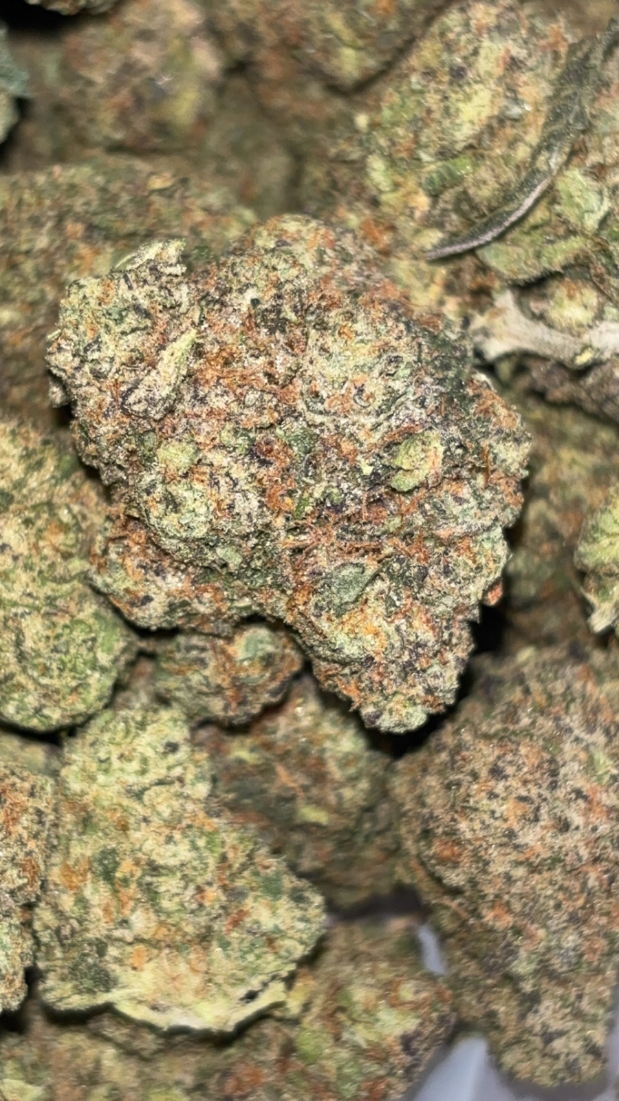 King Kong Glue
