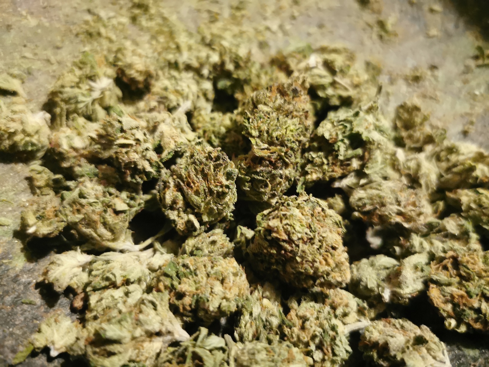 King Tut
