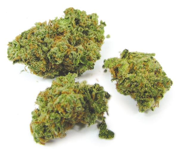 Kosher Jack