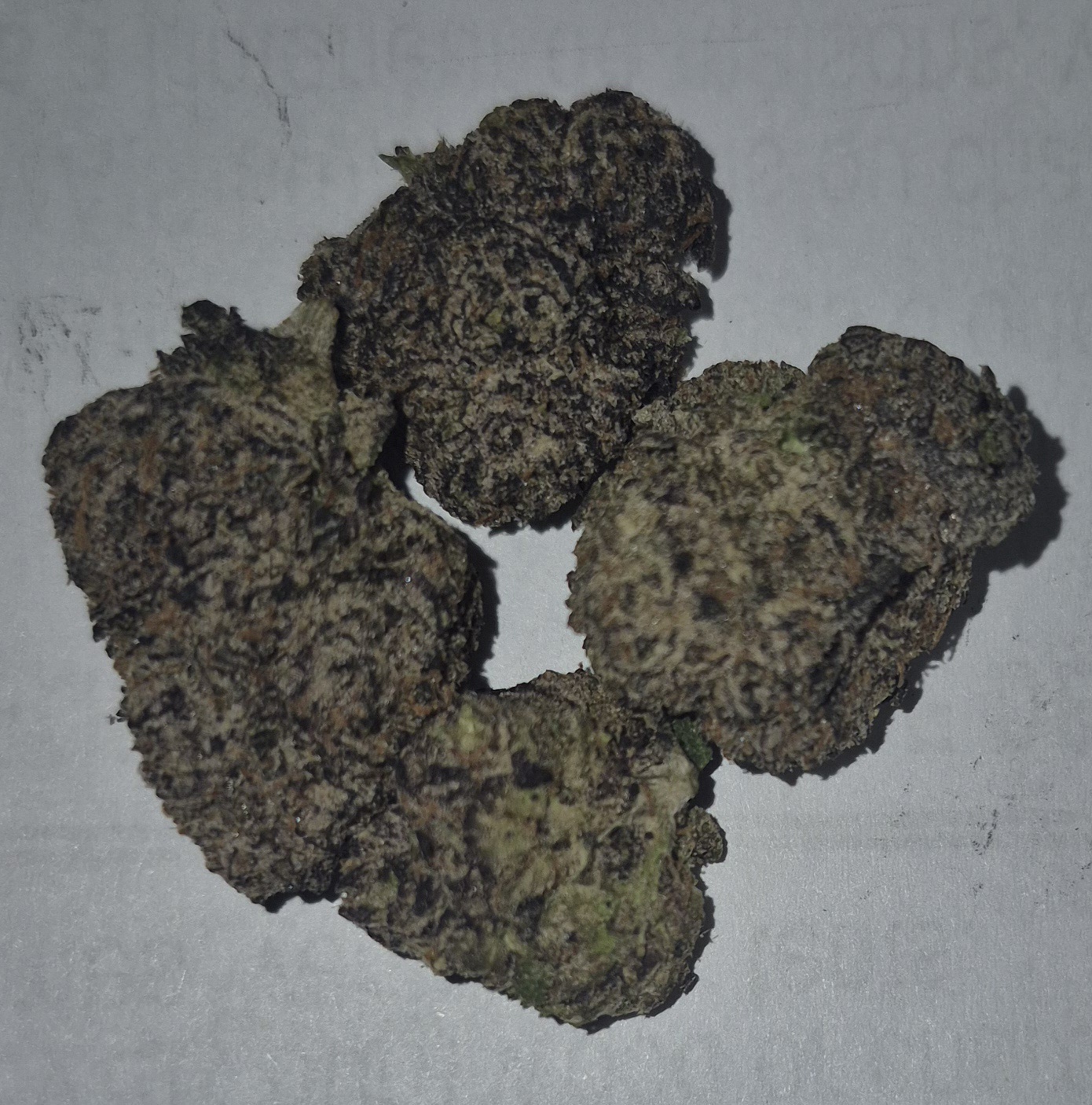 Kushzilla