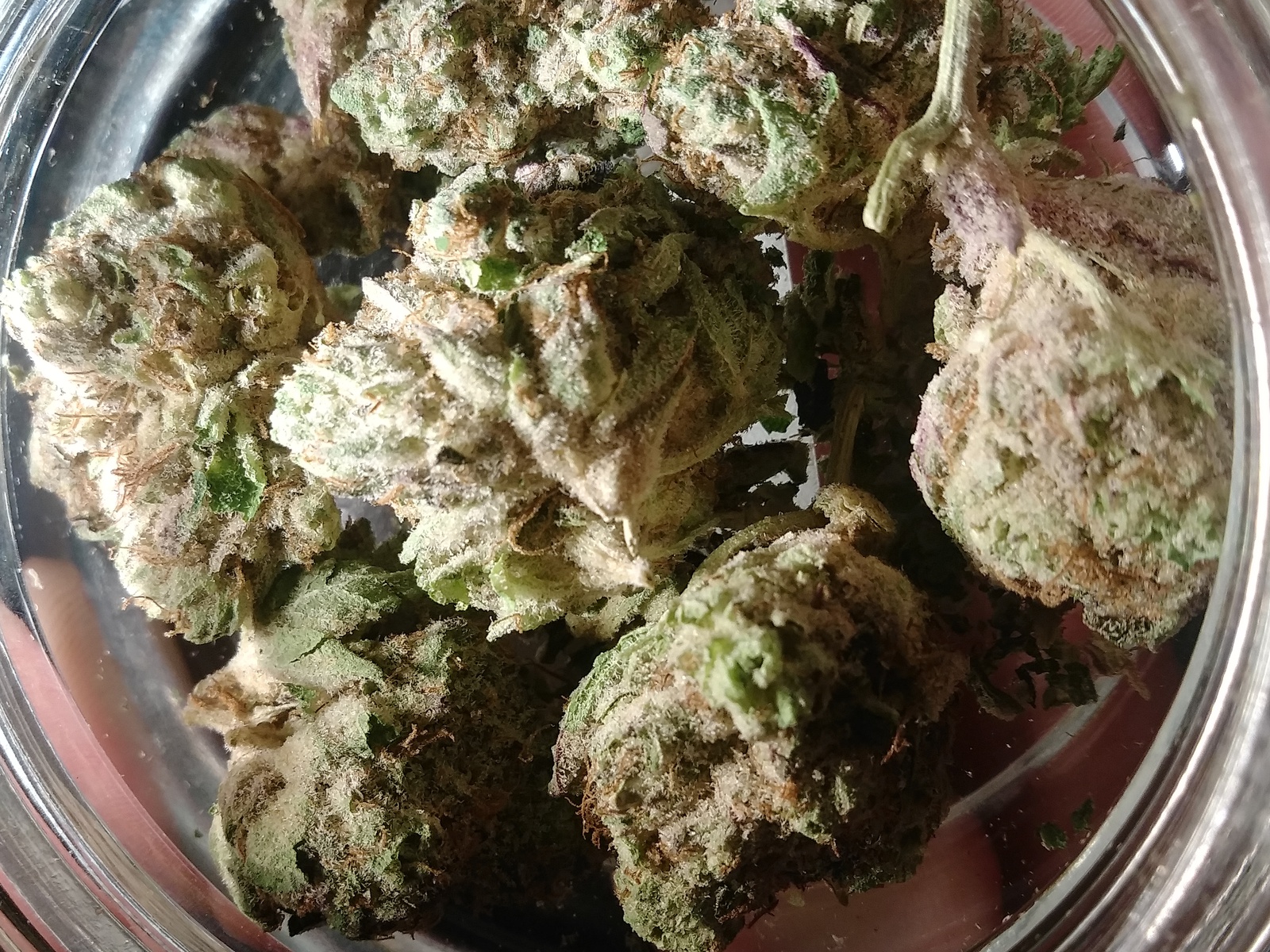 LA Wedding Pop