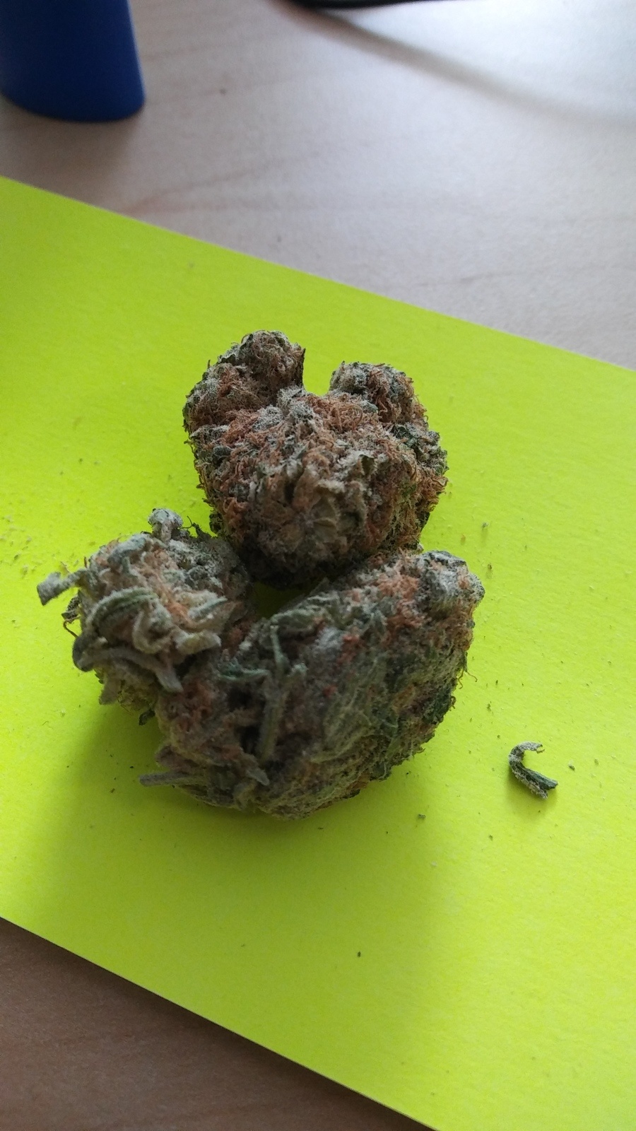 Lavender Diesel