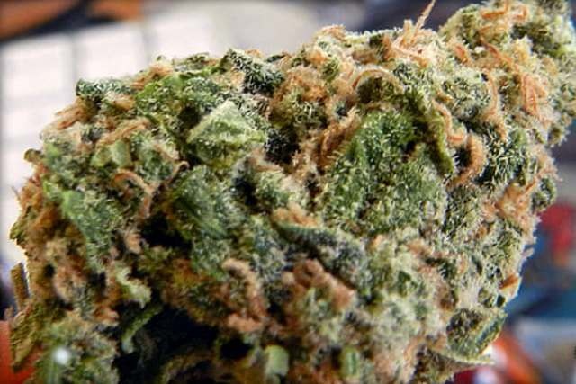 L.A.Cheese