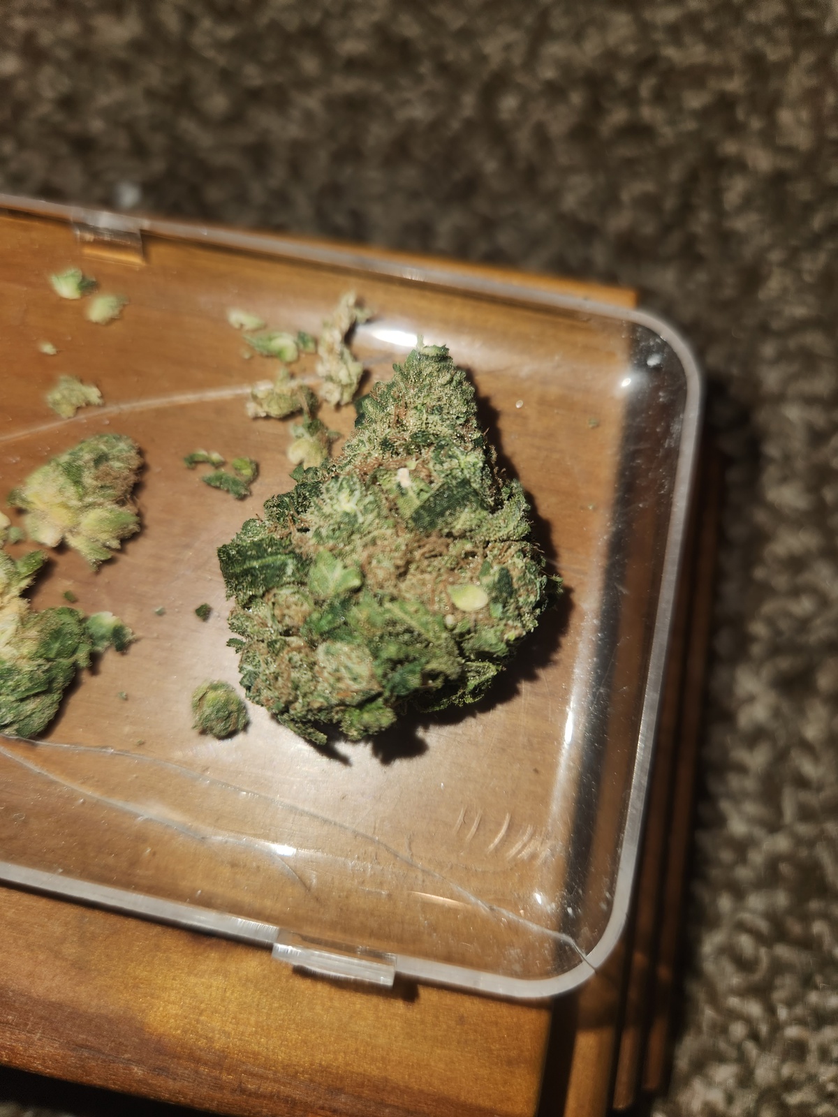 Leia Kush