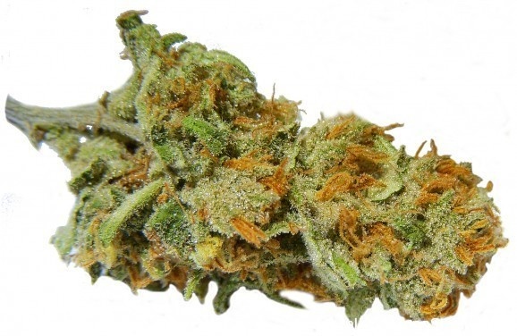 Lemon Bomb