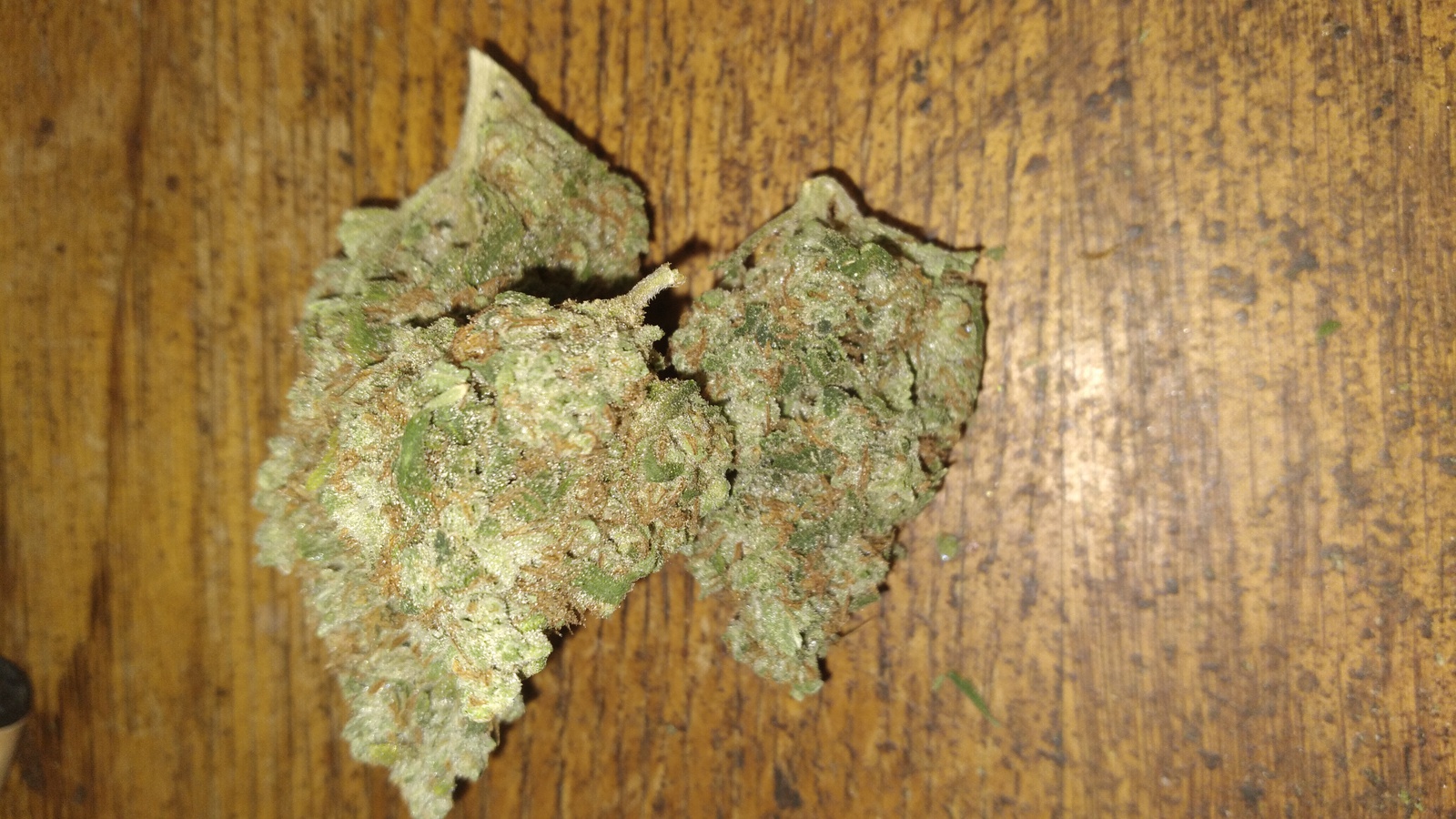 Lemon Cap